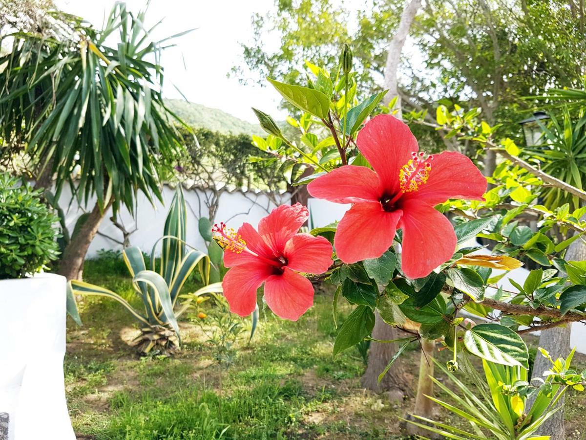 Villa Del Sogno 파르겔리아 외부 사진